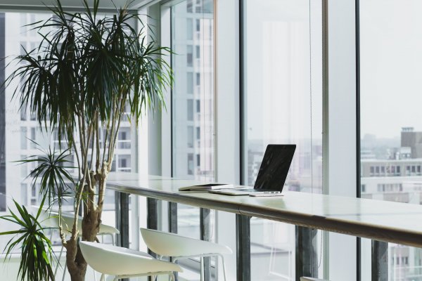 a laptop opened in an office with large windows by a tree